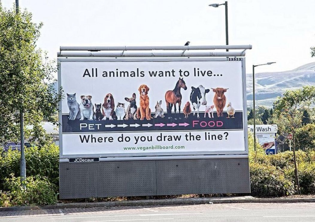 vegan billboard