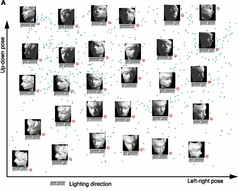 stone bust photos plotted